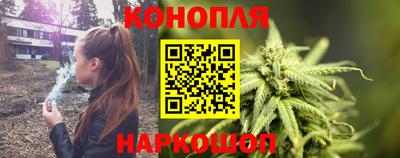 эйфоретик Гай