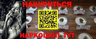 mdpv Гатчина