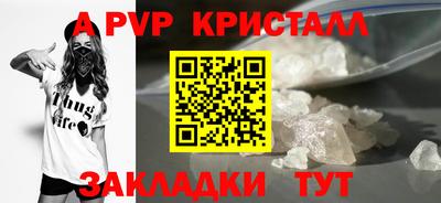 эйфоретик Гай